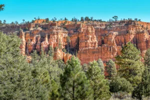 Visiter Bryce Canyon en 1 journée red canyon Visiter Bryce Canyon en 1 journée red canyon