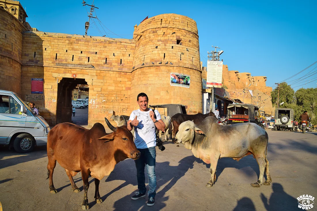 2 semaines en Inde le fort de jaisalmer dreams world