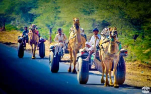 2 semaines en Inde route dreams world