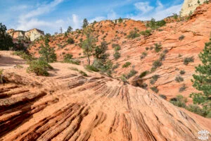 Visiter Zion National Park en 1 journée dremas world Visiter Zion National Park en 1 journée dremas world