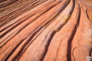 Visiter Zion National Park en 1 journée dremas world Visiter Zion National Park en 1 journée dremas world