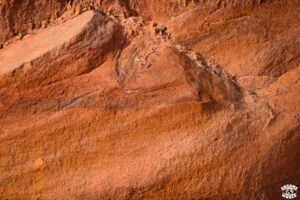 Visiter Zion National Park en 1 journée dremas world