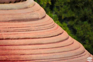 Visiter Zion National Park en 1 journée dremas world