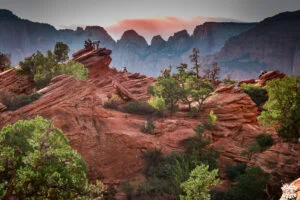 Visiter Zion National Park en 1 journée dremas world