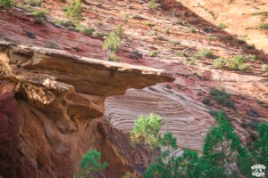 Visiter Zion National Park en 1 journée dremas world-55 Visiter Zion National Park en 1 journée dremas world