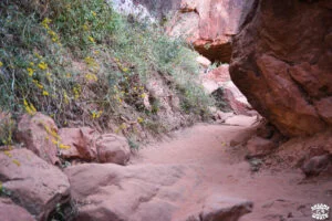 Visiter Zion National Park en 1 journée dremas world Visiter Zion National Park en 1 journée dremas world