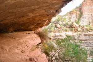 Visiter Zion National Park en 1 journée dremas world Visiter Zion National Park en 1 journée dremas world