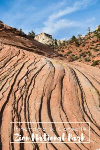 Visiter Zion National Park en 1 journée Visiter Zion National Park en 1 journée