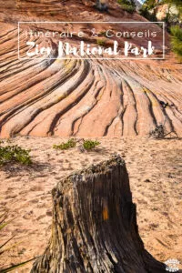 Visiter Zion National Park en 1 journée Visiter Zion National Park en 1 journée