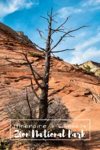 Visiter Zion National Park pinterest 9 Visiter Zion National Park