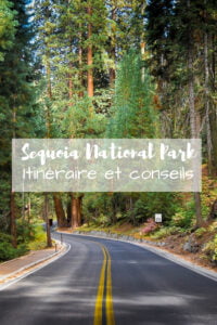 Visiter sequoia national park en 1 jour