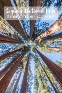 Visiter sequoia national park en 1 jour