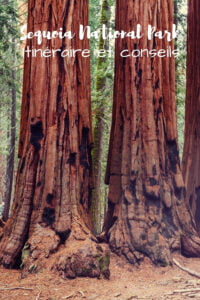 Visiter sequoia national park en 1 jour