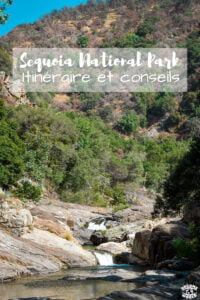 Visiter sequoia national park en 1 jour
