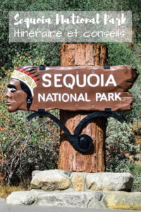 Visiter sequoia national park en 1 jour