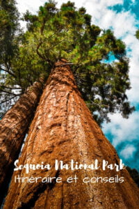 Visiter sequoia national park en 1 jour