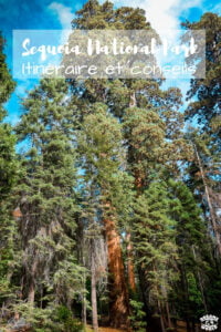 Visiter sequoia national park en 1 jour
