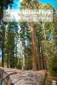 Visiter sequoia national park en 1 jour
