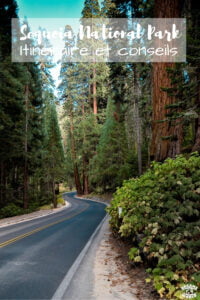 Visiter sequoia national park en 1 jour