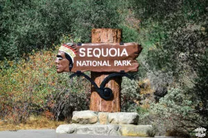 Visiter Sequoia National Park en 1 jour