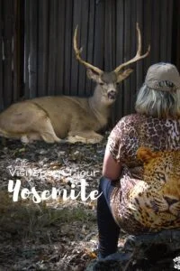 Visiter Yosemite en 1 jour