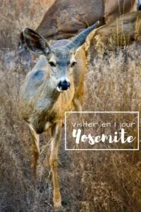 Visiter Yosemite en 1 jour