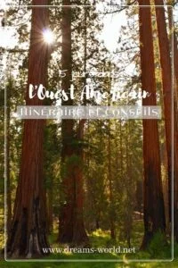 forêt sequoias parc