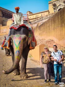 Jaipur elephant fort amber dreams world