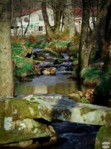 Ou dormir en auvergne moulin de la fortie ruisseau