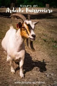 4 jours en Ardèche Buissonnière