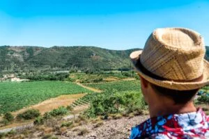 vigne Randonnée du circuit de Mortevielle