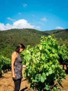 Visite de la Vinaigrerie Blacher