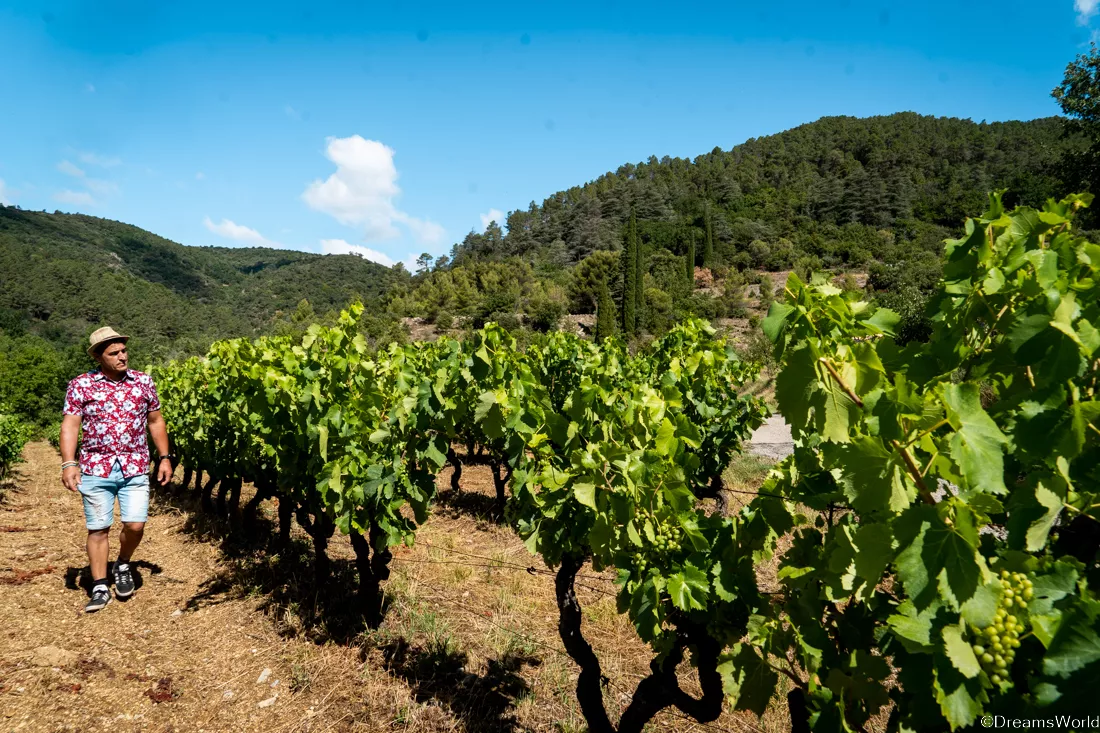 Visite de la Vinaigrerie Blacher