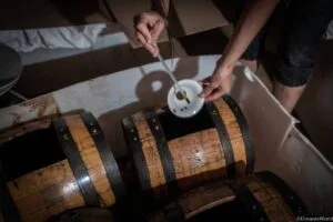 Visite de la Vinaigrerie Blacher