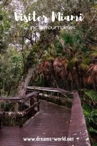 Visiter Miami 6 incontournables everglades