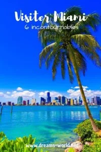 Visiter Miami 6 incontournables palmier bulding ocean