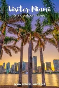 Visiter Miami 6 incontournables sunset palmier gratte ciel