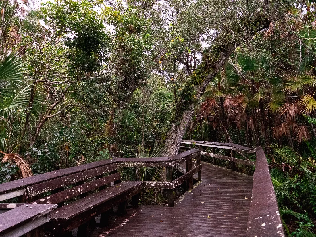 everglades chemin
