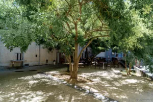 place ombragée privas