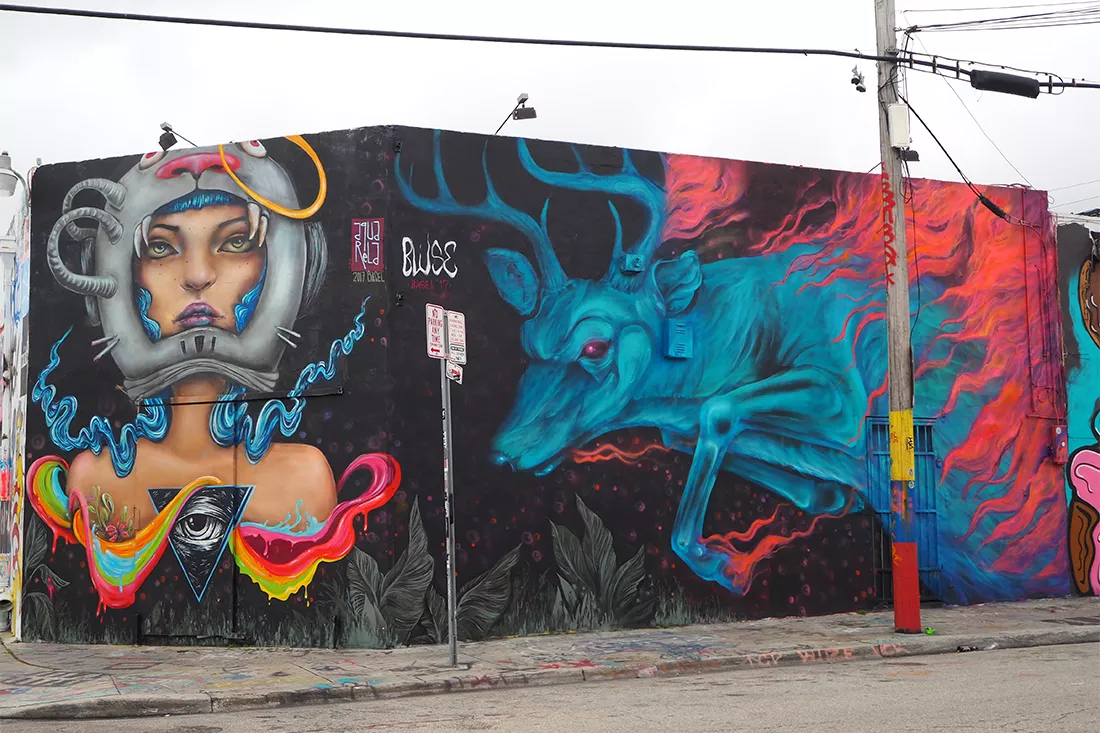 visiter miami wynwood street art
